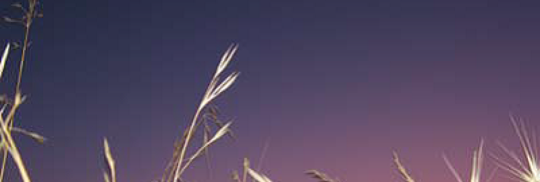 Meditaciones al atardecer