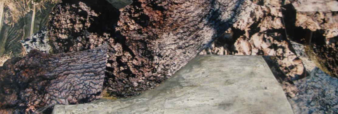 Imagen de la obra