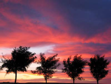 Meditaciones al atardecer