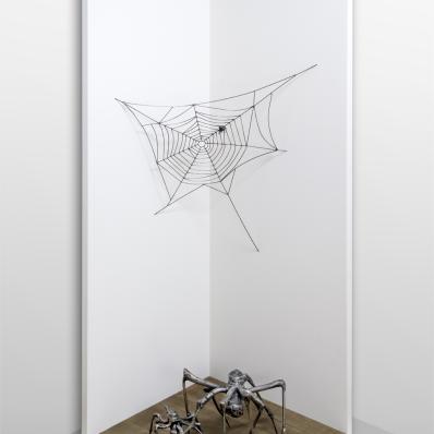 Spider Home